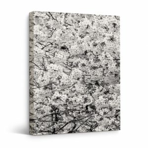 Monochrome Cherry Blossom Framed Canvas Wall Art | Ready to Hang