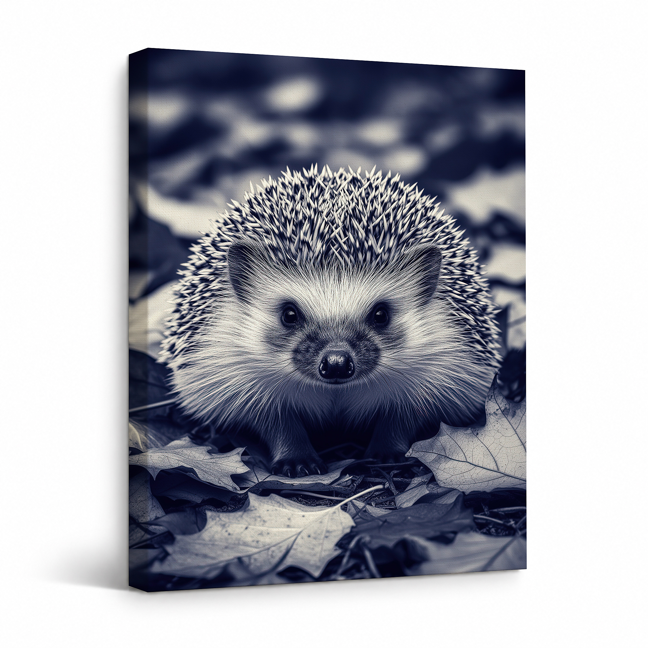 Autumn Hedgehog Framed Canvas Wall Art - Monochrome Nature Decor