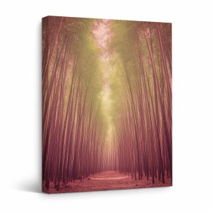 Misty Bamboo Forest Framed Canvas Wall Art - Ready to Hang