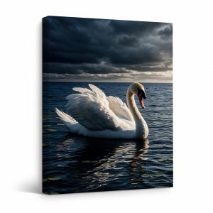 Dramatic Swan on Lake Sunset Framed Canvas Wall Art