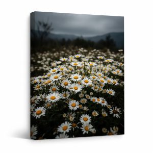 Moody Daisy Field Framed Canvas Wall Art