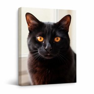 Black Cat Portrait Framed Canvas Wall Art