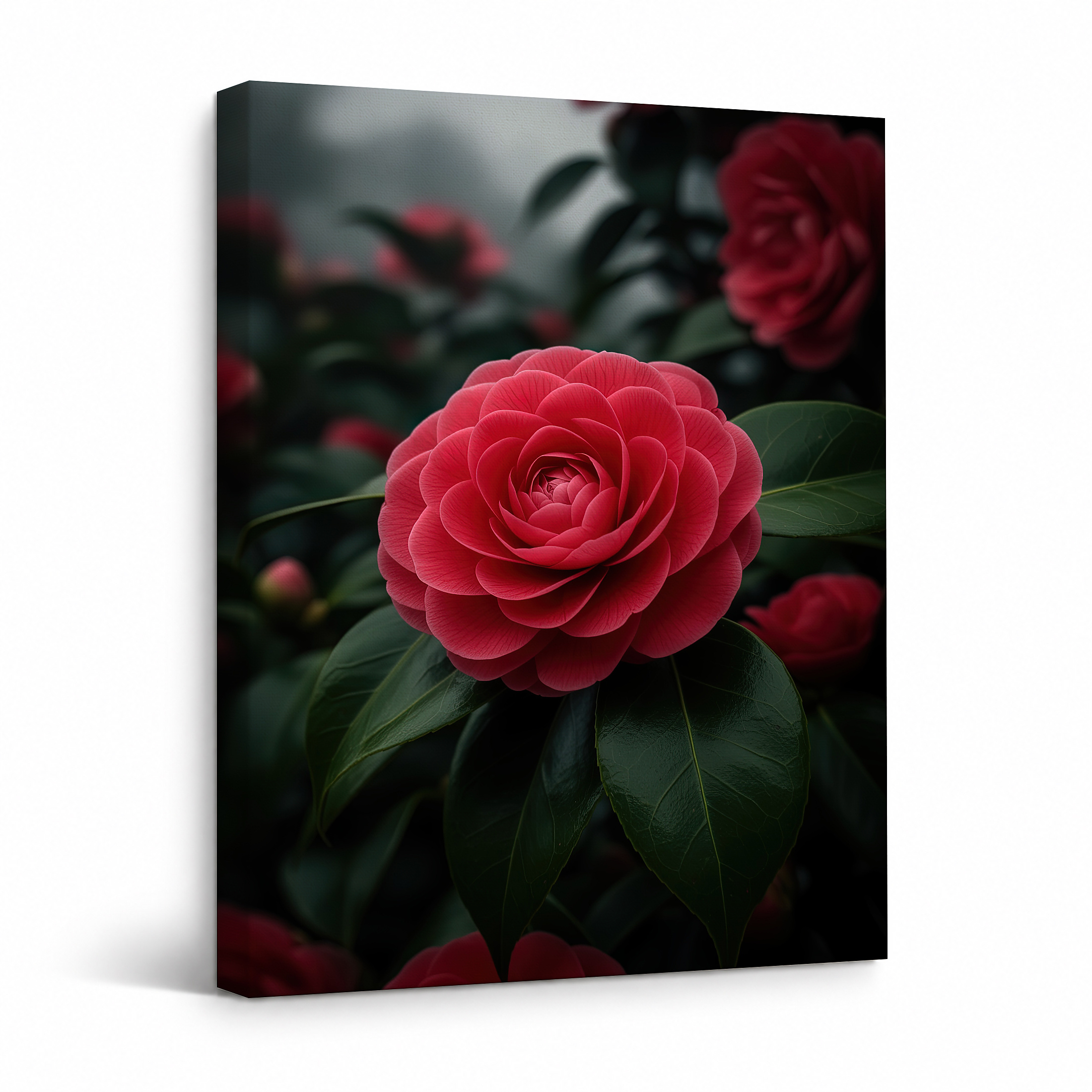 Red Camellia Bloom Framed Canvas Wall Art - Moody Floral Decor