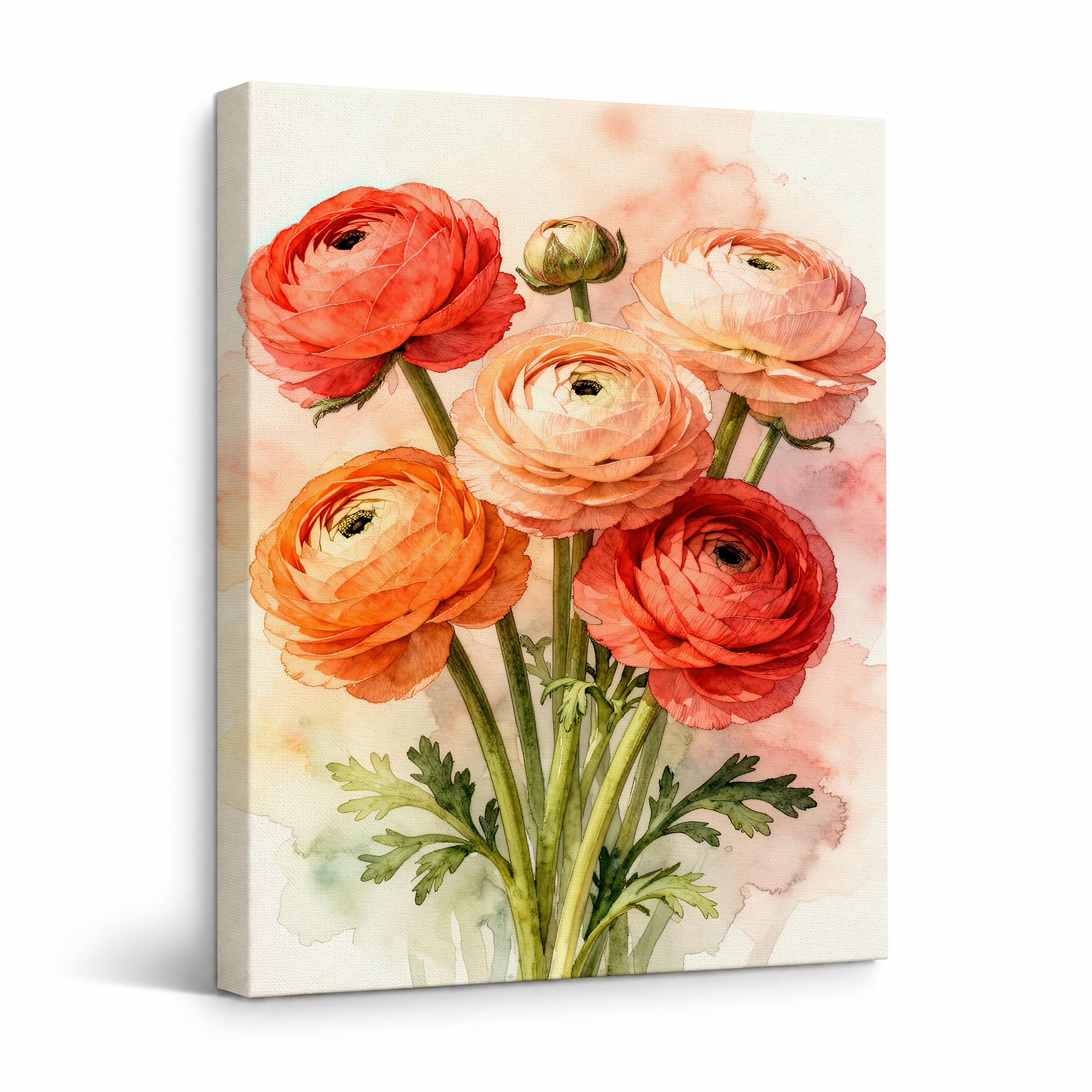 Watercolor Ranunculus Floral Framed Canvas Wall Art - Ready to Hang