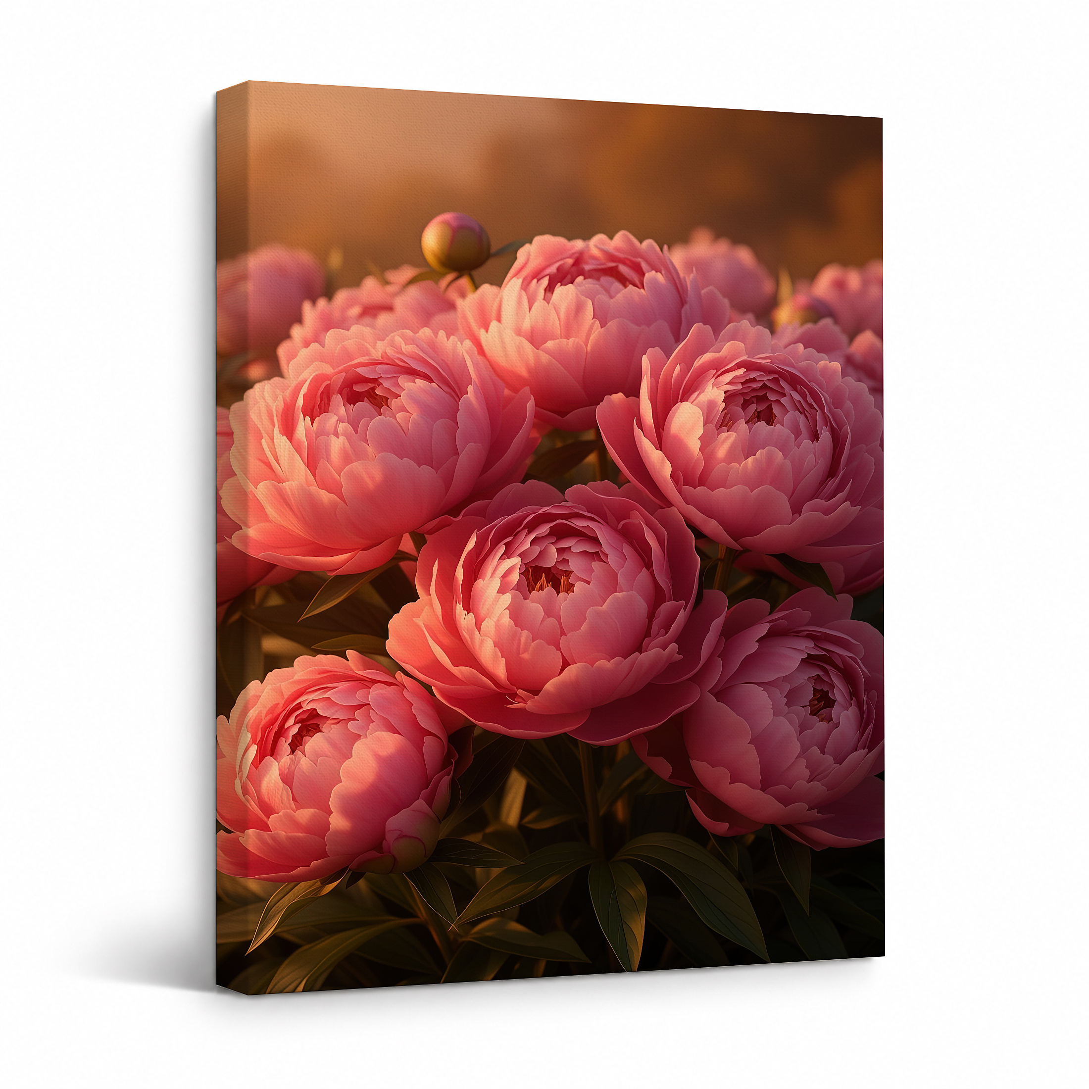 Pink Peony Sunset Bloom Framed Canvas Wall Art - Ready to Hang