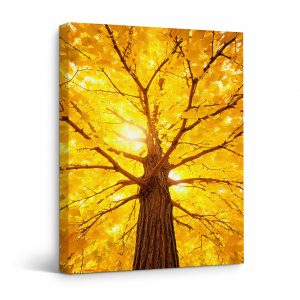 Golden Autumn Tree Framed Canvas Wall Art
