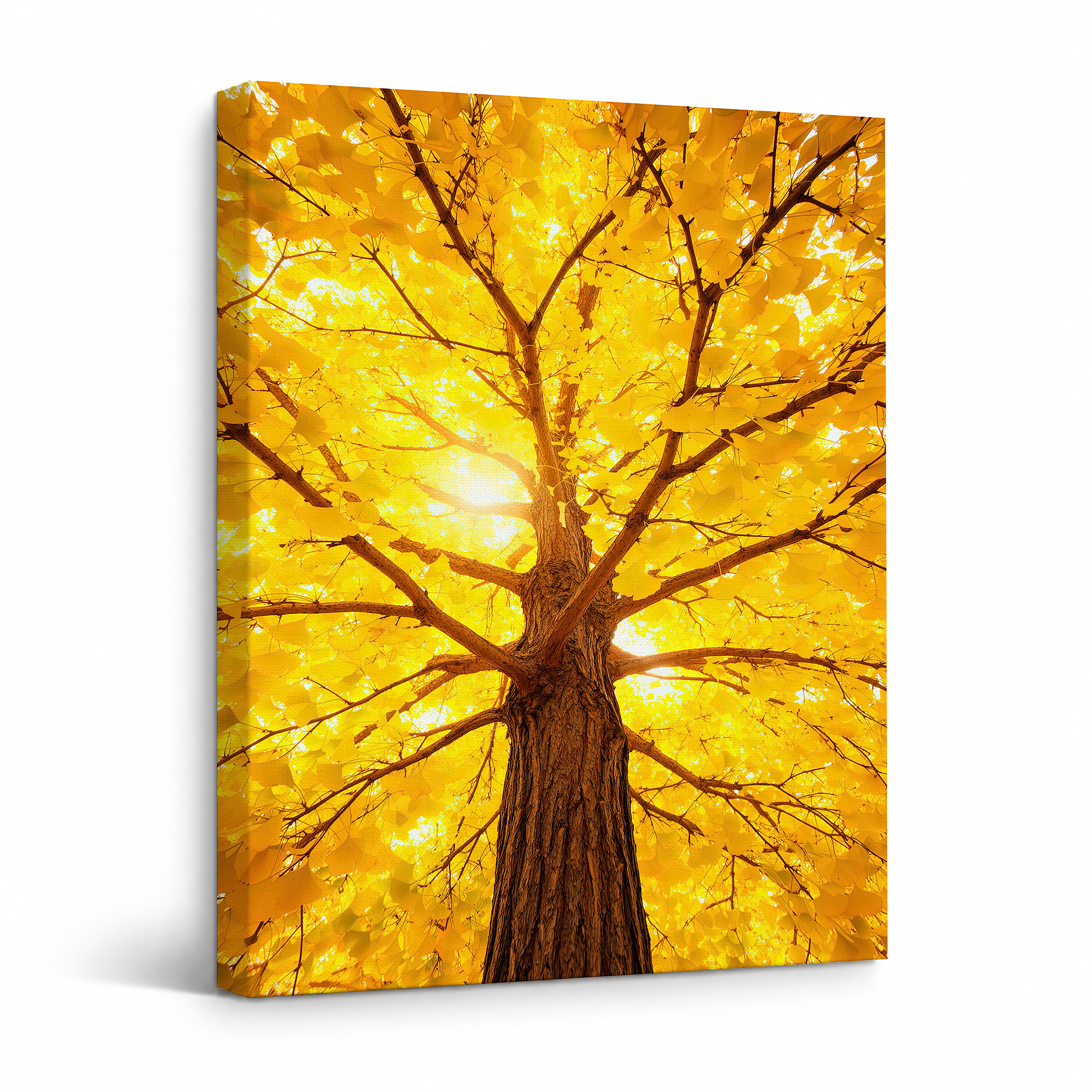 Golden Autumn Tree Framed Canvas Wall Art