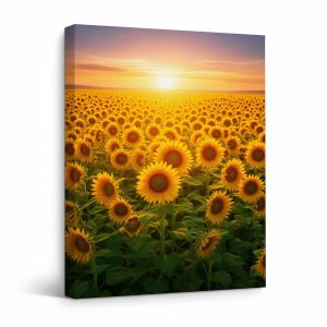 Sunflower Field Sunset Framed Canvas Wall Art - Ready to Hang