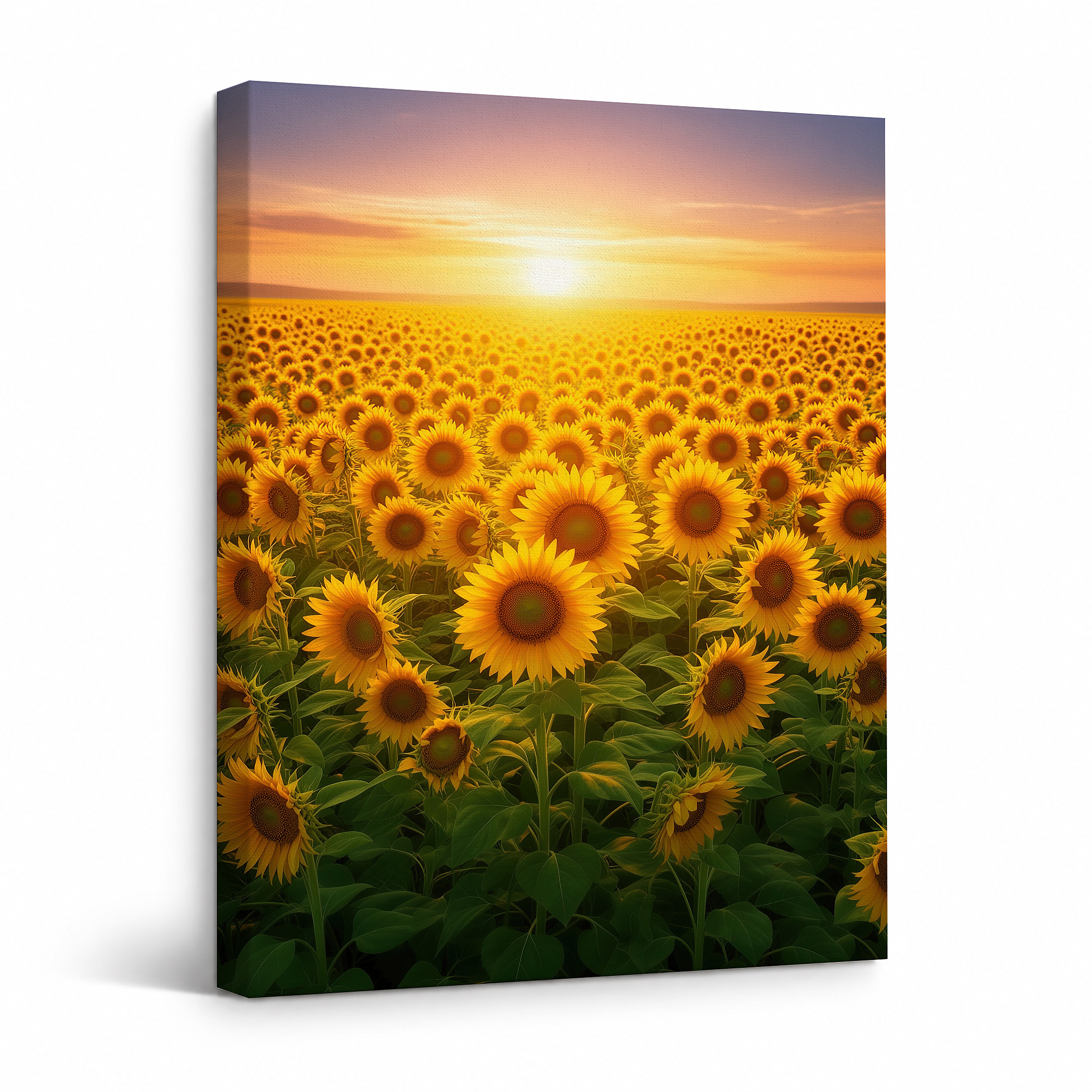 Sunflower Field Sunset Framed Canvas Wall Art - Ready to Hang