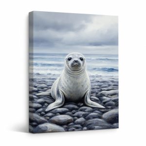 Seal on Rocky Shore Framed Canvas Wall Art - Ocean View Decor