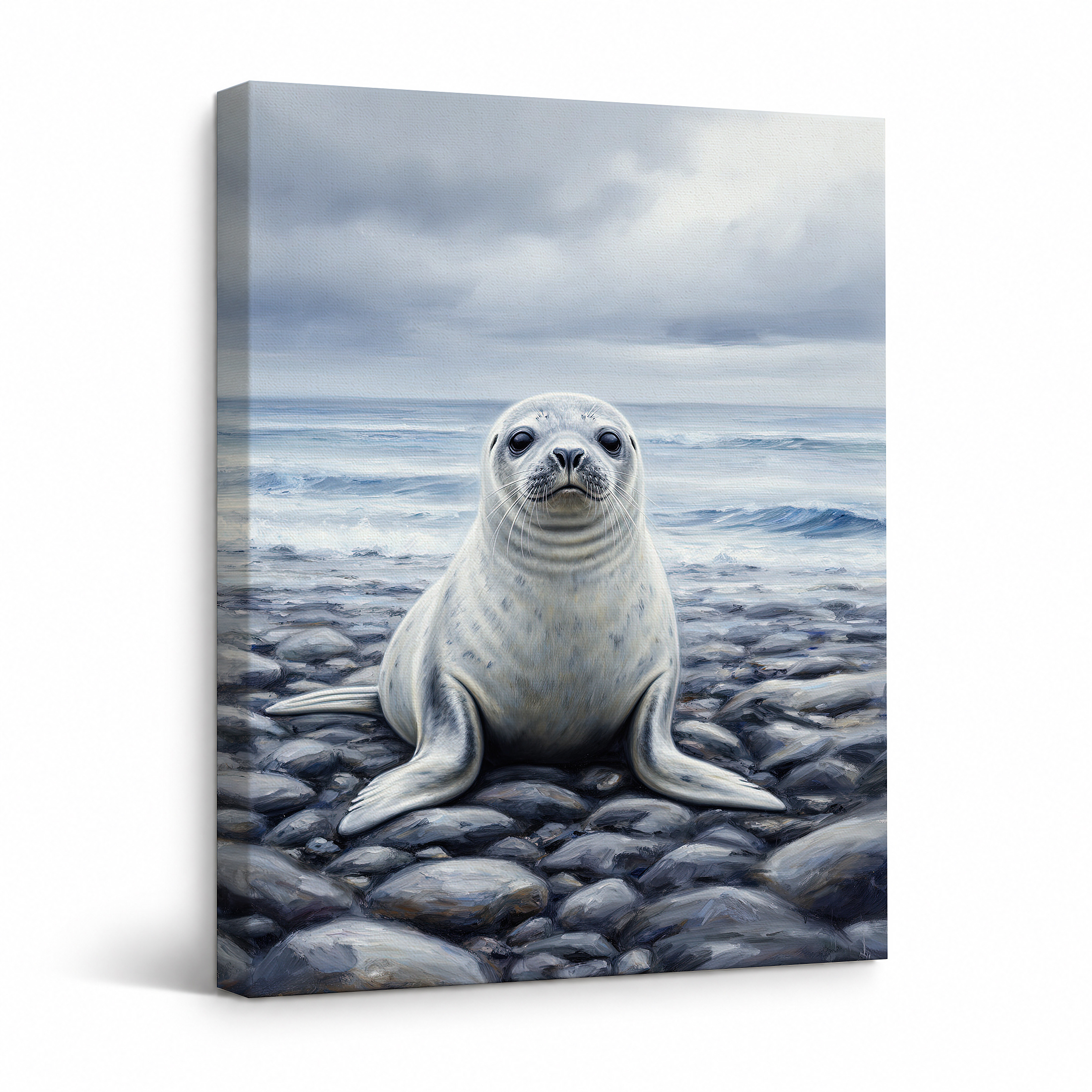 Seal on Rocky Shore Framed Canvas Wall Art - Ocean View Decor