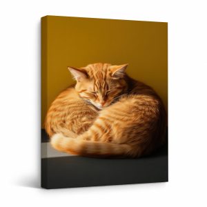 Sleeping Ginger Tabby Cat Framed Canvas Wall Art | Ready to Hang