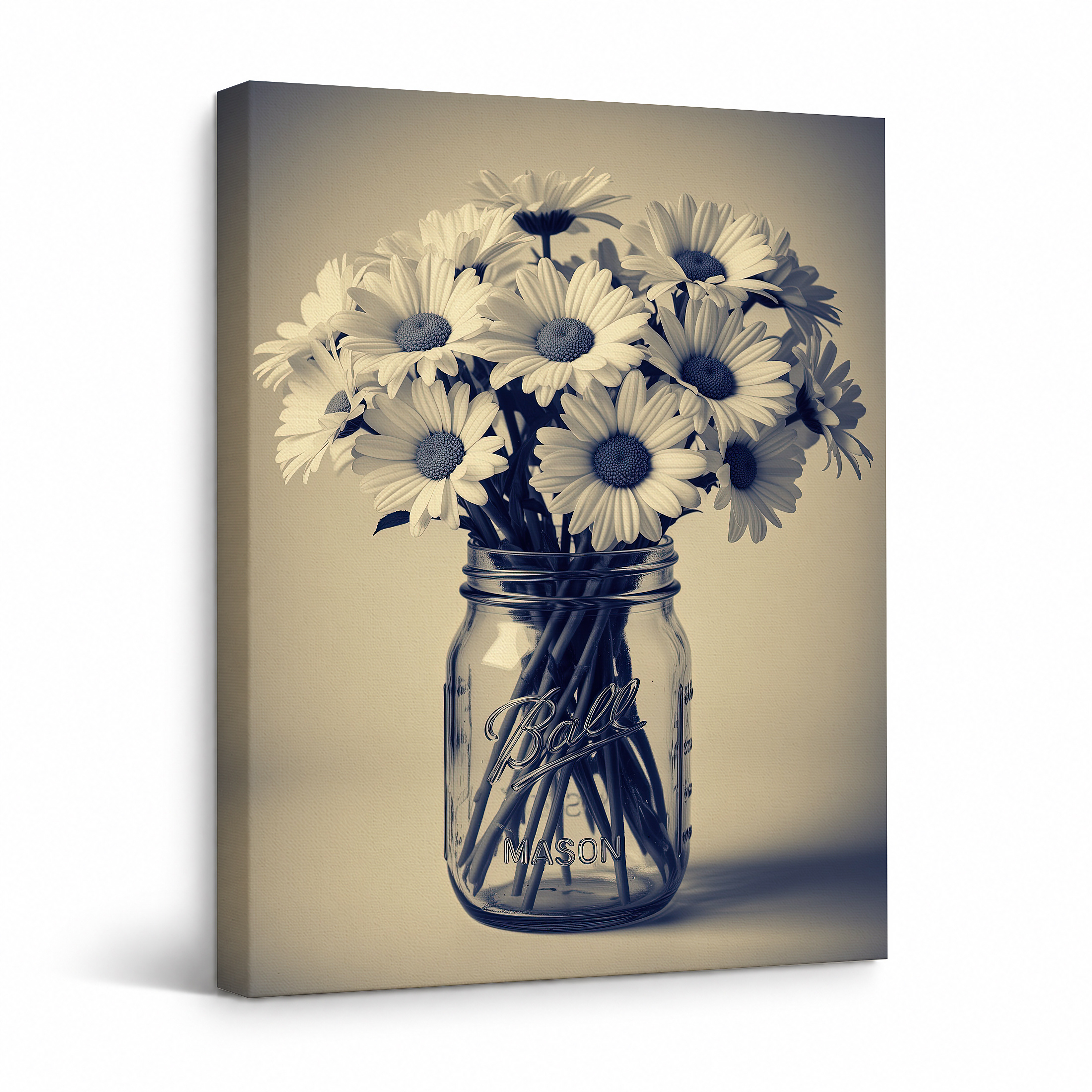 Vintage Daisies in Mason Jar Framed Canvas Wall Art - Ready to Hang