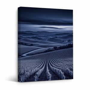 Blue Hour Vineyard Landscape Framed Canvas Wall Art