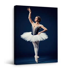 Ballet Dancer Framed Canvas Wall Art - Graceful Dance Art Print