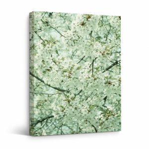 Cherry Blossom Spring Serenity Framed Canvas Wall Art