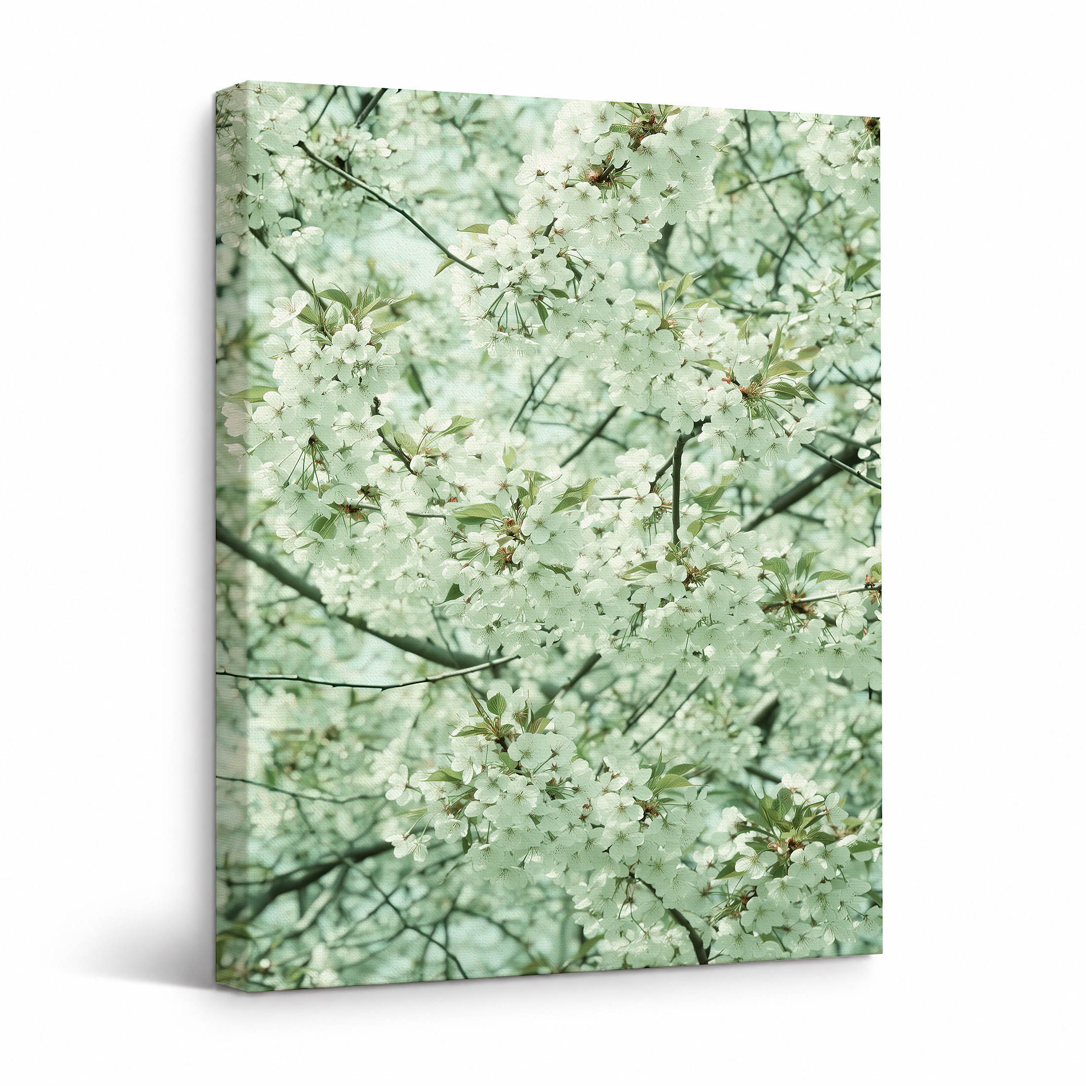Cherry Blossom Spring Serenity Framed Canvas Wall Art