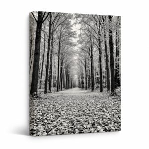 Monochrome Forest Path Framed Canvas Wall Art - Ready to Hang