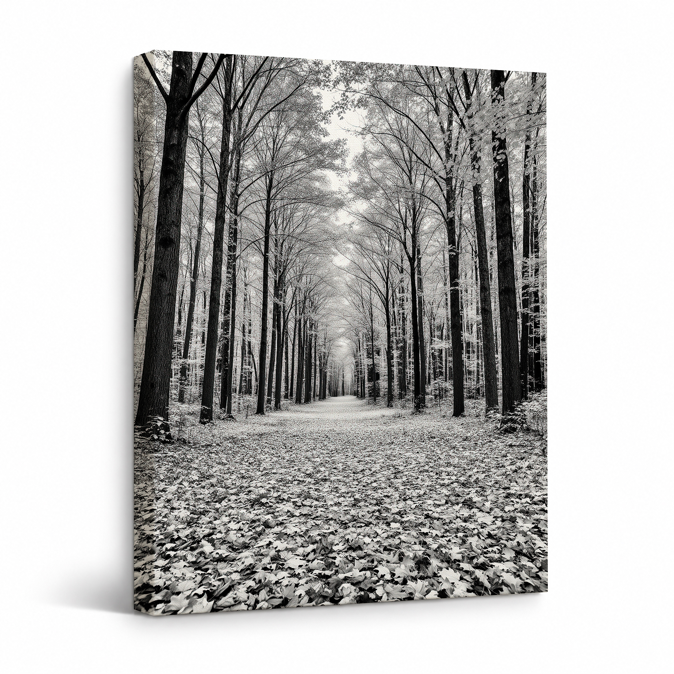 Monochrome Forest Path Framed Canvas Wall Art - Ready to Hang