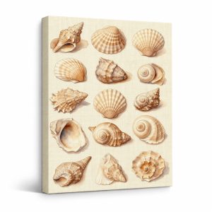 Coastal Seashell Collection Framed Canvas Wall Art - Ready to Hang