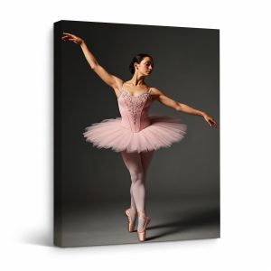 Elegant Ballet Ballerina Framed Canvas Wall Art - Pink Tutu Art